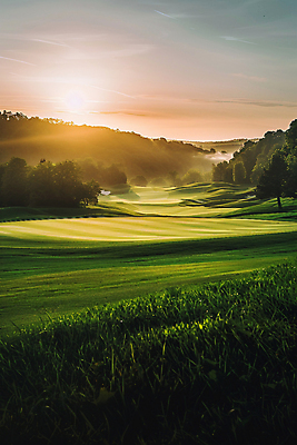 JPG 나무 편집이미지 골프장 필드 하늘 풍경 사람없음 햇빛 일출 새벽 안개 편집실사 AI포토 AI콘텐츠 자연요소 식물 골프 스포츠시설 날씨 태양 노을 CG 파일형식
