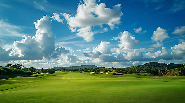 JPG 나무 구름 편집이미지 골프장 필드 하늘 풍경 잔디 사람없음 맑음 편집실사 AI포토 AI콘텐츠 자연요소 식물 골프 스포츠시설 날씨 CG 파일형식