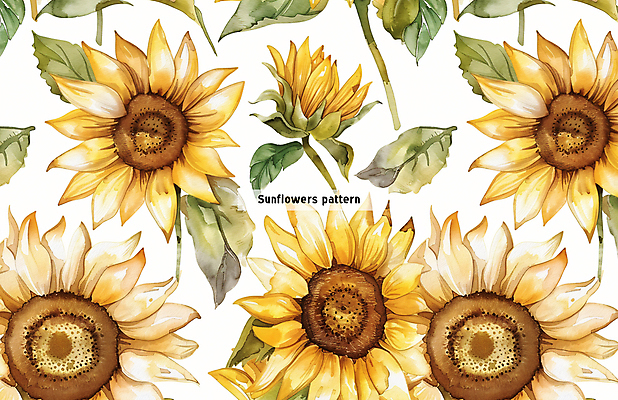 PSD 꽃 잎 꽃무늬 패턴 일러스트 해바라기 사람없음 노란색 패턴백그라운드 국내일러스트 식물 컬러 백그라운드 무늬 파일형식