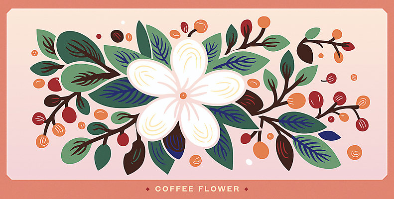 꽃 분홍색 잎 꽃무늬 일러스트 사람없음 원두 판화 커피나무 커피열매 국내일러스트 AI파일 카드프레임 나무 식물 열매 커피 컬러 무늬 프레임 미술 파일형식 벡터