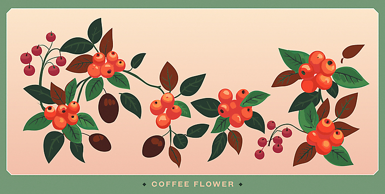 잎 일러스트 사람없음 초록색 주황색 원두 판화 커피나무 커피열매 국내일러스트 AI파일 카드프레임 나무 식물 열매 커피 컬러 프레임 미술 파일형식 벡터