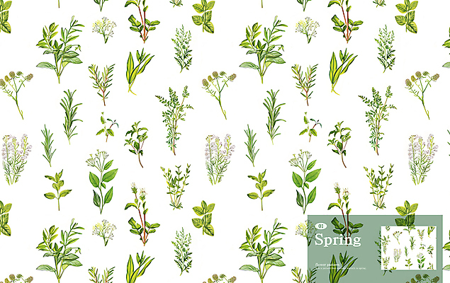 PSD 잎 패턴 일러스트 사람없음 허브 바질 라벤더 로즈메리 국내일러스트 식물 꽃 무늬 파일형식