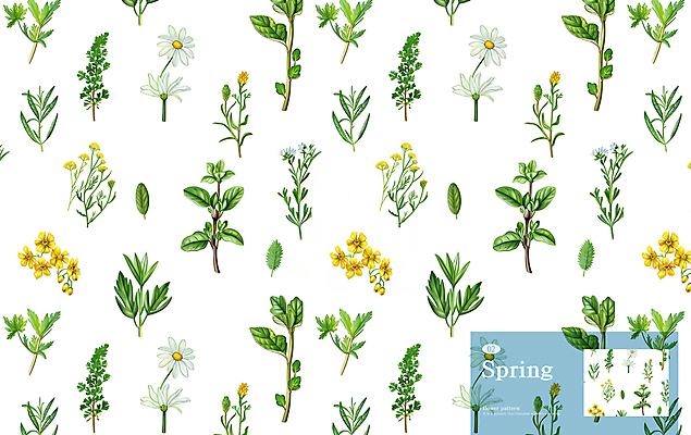 PSD 꽃잎 잎 꽃무늬 패턴 일러스트 사람없음 들꽃 허브 데이지 라일락 국내일러스트 식물 꽃 무늬 파일형식