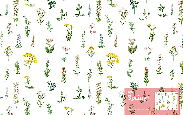 PSD 잎 꽃무늬 패턴 일러스트 사람없음 허브 국내일러스트 식물 꽃 무늬 파일형식