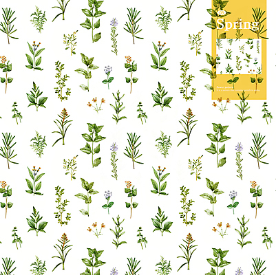 PSD 꽃잎 잎 꽃무늬 패턴 일러스트 사람없음 들꽃 허브 풀꽃 국내일러스트 식물 꽃 무늬 파일형식