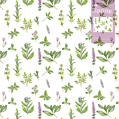 PSD 꽃잎 잎 꽃무늬 패턴 일러스트 사람없음 들꽃 허브 국내일러스트 식물 꽃 무늬 파일형식