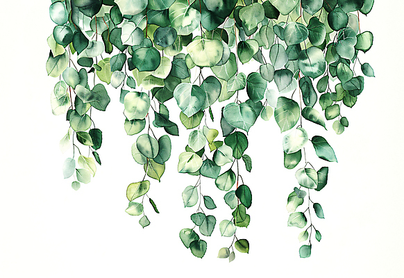 JPG 일러스트 자연 나뭇잎 수채화 사람없음 초록색 담쟁이덩굴 카피스페이스 국내일러스트 AI일러스트 AI콘텐츠 컬러 잎 공백 덩굴 생태계 파일형식