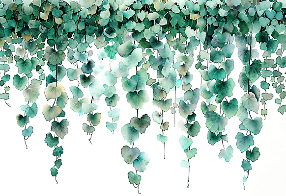 JPG 일러스트 자연 나뭇잎 수채화 사람없음 초록색 담쟁이덩굴 카피스페이스 국내일러스트 AI일러스트 AI콘텐츠 컬러 잎 공백 덩굴 생태계 파일형식