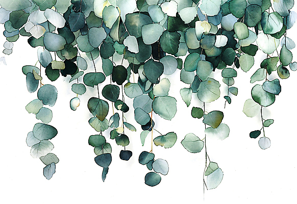 JPG 일러스트 자연 나뭇잎 수채화 사람없음 초록색 담쟁이덩굴 카피스페이스 국내일러스트 AI일러스트 AI콘텐츠 컬러 잎 공백 덩굴 생태계 파일형식