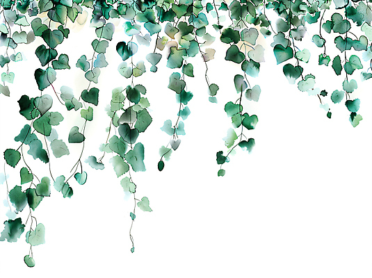 JPG 일러스트 자연 나뭇잎 수채화 사람없음 초록색 담쟁이덩굴 카피스페이스 국내일러스트 AI일러스트 AI콘텐츠 컬러 잎 공백 덩굴 생태계 파일형식