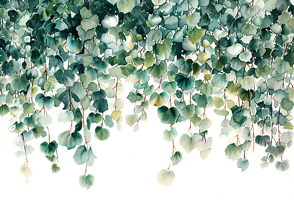 JPG 일러스트 자연 나뭇잎 수채화 사람없음 초록색 담쟁이덩굴 카피스페이스 국내일러스트 AI일러스트 AI콘텐츠 컬러 잎 공백 덩굴 생태계 파일형식