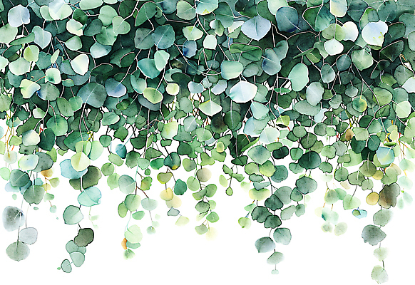 JPG 일러스트 자연 나뭇잎 수채화 사람없음 초록색 담쟁이덩굴 카피스페이스 국내일러스트 AI일러스트 AI콘텐츠 컬러 잎 공백 덩굴 생태계 파일형식