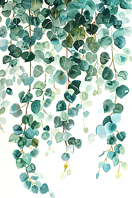 JPG 일러스트 자연 나뭇잎 수채화 사람없음 초록색 담쟁이덩굴 카피스페이스 국내일러스트 AI일러스트 AI콘텐츠 컬러 잎 공백 덩굴 생태계 파일형식