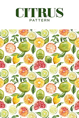 PSD 백그라운드 잎 패턴 오렌지 일러스트 열대 사람없음 여름 흰색 레몬 라임 신맛 국내일러스트 식물 계절 컬러 무늬 과일 맛 파일형식