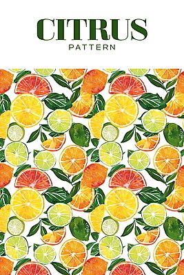 PSD 백그라운드 잎 패턴 오렌지 일러스트 열대 사람없음 여름 흰색 레몬 라임 신맛 국내일러스트 식물 계절 컬러 무늬 과일 맛 파일형식