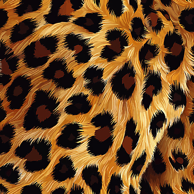 백그라운드 무늬 일러스트 사람없음 갈색 화려 질감 호피 국내일러스트 AI파일 컬러 컨셉 파일형식 벡터