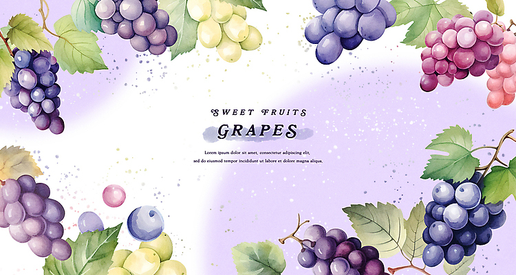 PSD 백그라운드 잎 일러스트 수채화 프레임 사람없음 보라색 청포도 포도알 망고포도 국내일러스트 식물 컬러 포도 파일형식