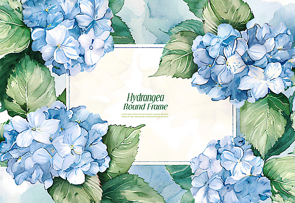 PSD 편집이미지 잎 수채화 프레임 사람없음 파란색 봄 테두리 수국 카피스페이스 이미지편집 카드프레임 식물 계절 꽃 컬러 공백 파일형식