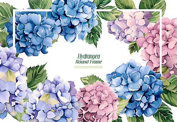 PSD 편집이미지 잎 수채화 프레임 사람없음 파란색 봄 테두리 수국 카피스페이스 이미지편집 카드프레임 식물 계절 꽃 컬러 공백 파일형식