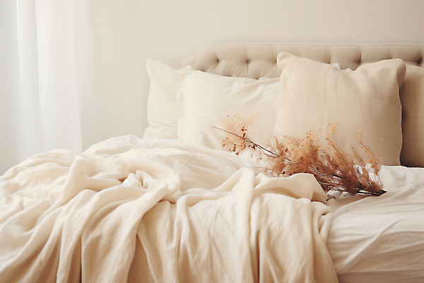 JPG 식물 편집이미지 사람없음 인테리어 공간 침실 흰색 침대 포근함 편안함 편집실사 AI포토 AI콘텐츠 디자인 컬러 가구 감각 CG 파일형식