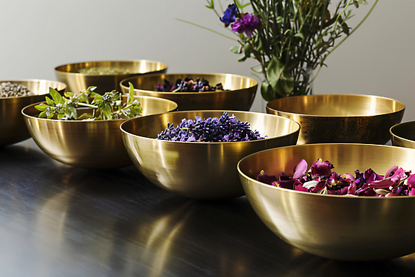 JPG 편집이미지 잎 건강 사람없음 꽃병 봄 약초 허브 디지털합성 놋그릇 편집실사 AI포토 AI콘텐츠 식물 그릇 계절 꽃 풀_식물 CG 파일형식