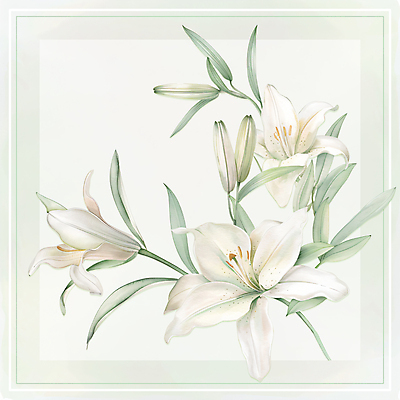 PSD 백그라운드 일러스트 수채화 프레임 사람없음 초록색 흰색 백합 국내일러스트 카드프레임 꽃 컬러 파일형식