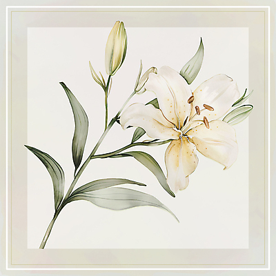 PSD 백그라운드 일러스트 수채화 프레임 사람없음 초록색 흰색 백합 국내일러스트 카드프레임 꽃 컬러 파일형식