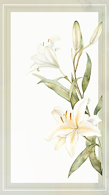 PSD 백그라운드 일러스트 수채화 프레임 사람없음 초록색 흰색 백합 국내일러스트 카드프레임 꽃 컬러 파일형식