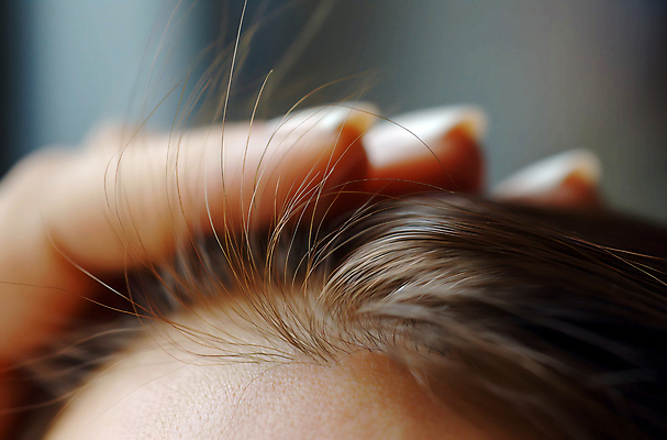 JPG 편집이미지 손 여자 스트레스 한명 성인 머리카락 디지털합성 두피 탈모 성인여자한명만 편집소스 편집실사 AI인물포토 AI콘텐츠 1 사람 신체부위 머리 CG 증상 여자한명만 성인여자만 파일형식 AI포토