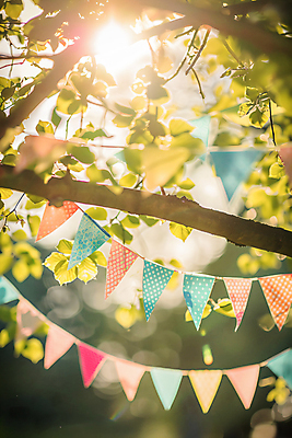 JPG 편집이미지 나뭇잎 사람없음 야외 장식 햇빛 나뭇가지 화려 삼각형 숲 가랜드 편집실사 AI포토 AI콘텐츠 도형 나무 컨셉 잎 태양 CG 파티용품 파일형식