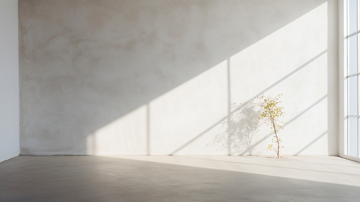 JPG 편집이미지 그림자 사람없음 빛 인테리어 공간 흰색 합성 카피스페이스 비어있는 편집실사 AI포토 AI콘텐츠 디자인 컬러 공백 CG 파일형식