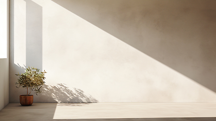 JPG 편집이미지 화분 그림자 사람없음 빛 인테리어 공간 흰색 합성 카피스페이스 비어있는 편집실사 AI포토 AI콘텐츠 디자인 컬러 공백 CG 파일형식