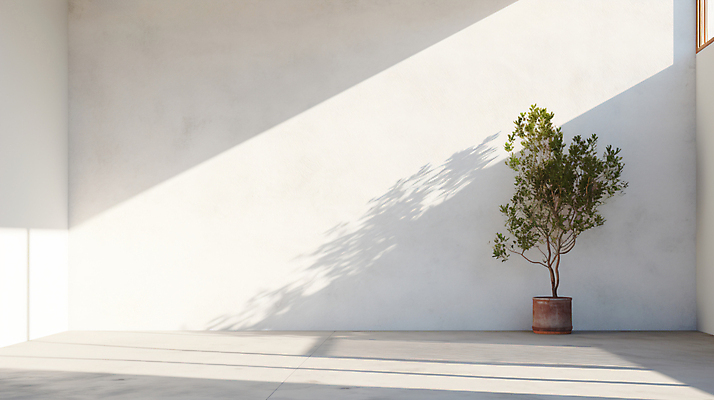 JPG 편집이미지 화분 그림자 사람없음 빛 인테리어 공간 흰색 합성 카피스페이스 비어있는 편집실사 AI포토 AI콘텐츠 디자인 컬러 공백 CG 파일형식