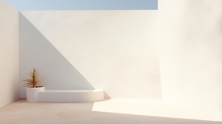 JPG 편집이미지 화분 그림자 사람없음 빛 인테리어 공간 흰색 합성 카피스페이스 비어있는 편집실사 AI포토 AI콘텐츠 디자인 컬러 공백 CG 파일형식