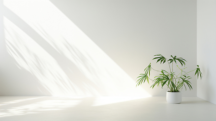 JPG 편집이미지 화분 그림자 사람없음 빛 인테리어 공간 흰색 합성 카피스페이스 비어있는 편집실사 AI포토 AI콘텐츠 디자인 컬러 공백 CG 파일형식