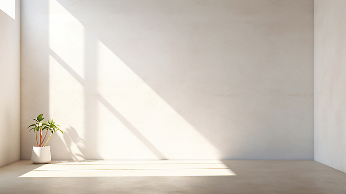 JPG 편집이미지 화분 그림자 사람없음 빛 인테리어 공간 흰색 합성 카피스페이스 비어있는 편집실사 AI포토 AI콘텐츠 디자인 컬러 공백 CG 파일형식