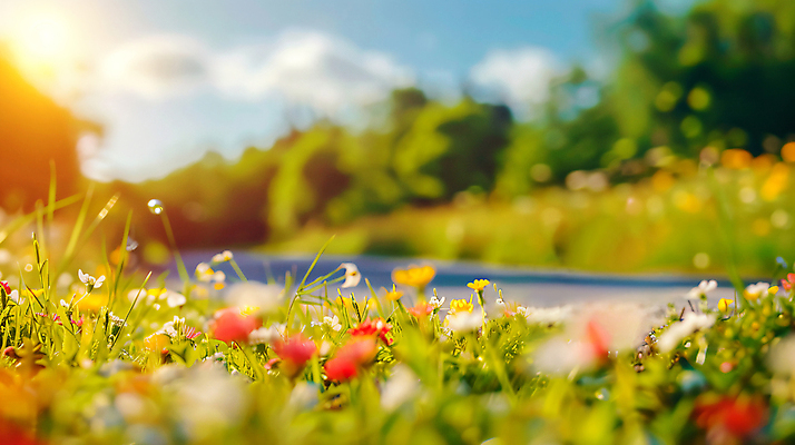 JPG 편집이미지 꽃 행복 도로 여행 사람없음 햇빛 봄 미니어처 드라이브 편집실사 AI포토 AI콘텐츠 식물 계절 감정 길 교통시설 태양 모형 운전 CG 파일형식