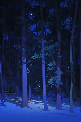 JPG 나무 겨울 야경 일러스트 자연 밤하늘 사람없음 여름 파란색 평화 추위 숲 신비 국내일러스트 AI일러스트 AI콘텐츠 식물 계절 컬러 컨셉 하늘 야간 생태계 파일형식 풍경_경치