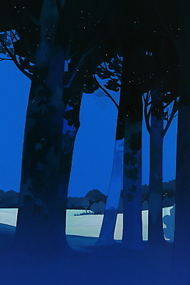 JPG 나무 야경 일러스트 자연 밤하늘 사람없음 여름 파란색 평화 어둠 고요 숲속 신비 국내일러스트 AI일러스트 AI콘텐츠 식물 계절 컬러 컨셉 하늘 야간 숲 생태계 파일형식 풍경_경치