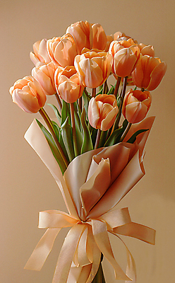 JPG 편집이미지 리본 부케 백그라운드 선물 사람없음 주황색 튤립 축하 디지털합성 감사 싱그러움 편집소스 세련 편집실사 AI포토 AI콘텐츠 꽃 감정 컬러 꽃다발 컨셉 CG 파일형식