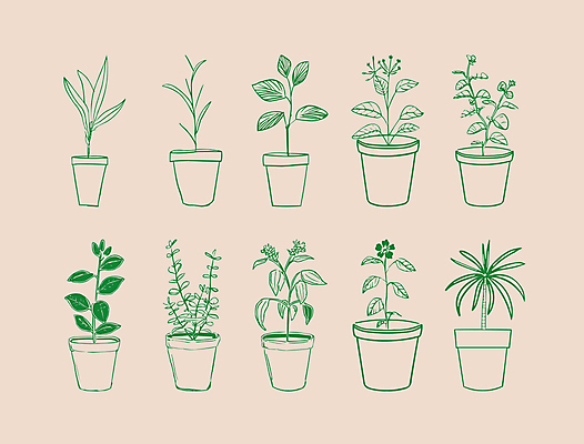 식물 화분 일러스트 사람없음 초록색 심플 드로잉 국내일러스트 AI파일 컬러 미술 파일형식 벡터