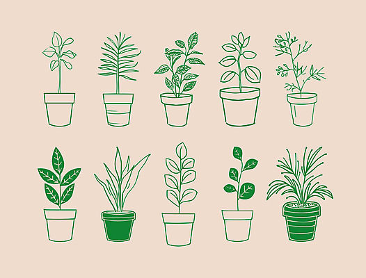 식물 화분 일러스트 사람없음 초록색 심플 드로잉 국내일러스트 AI파일 컬러 미술 파일형식 벡터