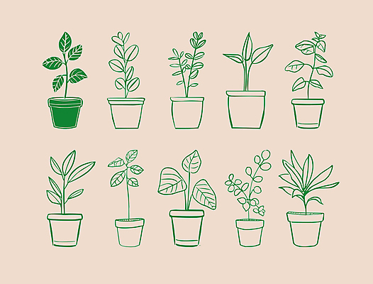 식물 화분 일러스트 사람없음 초록색 심플 드로잉 국내일러스트 AI파일 컬러 미술 파일형식 벡터