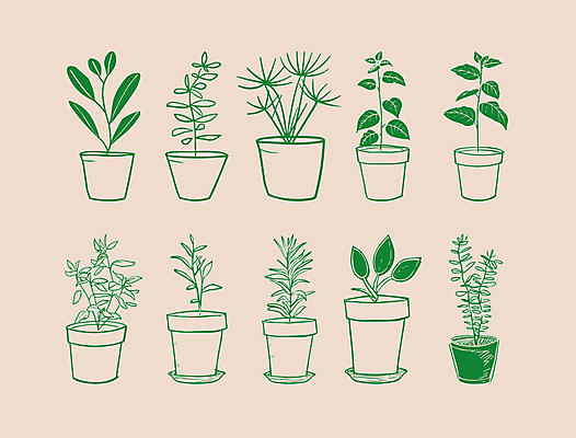 식물 화분 일러스트 사람없음 초록색 심플 드로잉 국내일러스트 AI파일 컬러 미술 파일형식 벡터