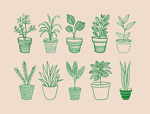 식물 화분 일러스트 사람없음 초록색 심플 드로잉 국내일러스트 AI파일 컬러 미술 파일형식 벡터