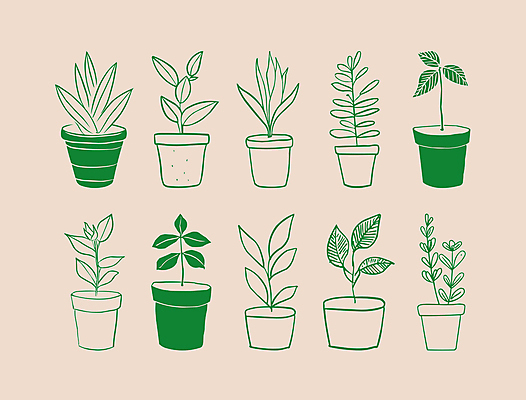 식물 화분 일러스트 사람없음 초록색 심플 드로잉 국내일러스트 AI파일 컬러 미술 파일형식 벡터