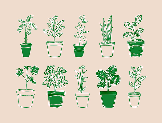 식물 화분 일러스트 사람없음 초록색 심플 드로잉 국내일러스트 AI파일 컬러 미술 파일형식 벡터