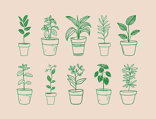 식물 화분 일러스트 사람없음 초록색 심플 드로잉 국내일러스트 AI파일 컬러 미술 파일형식 벡터