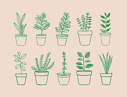 식물 화분 일러스트 사람없음 초록색 심플 드로잉 국내일러스트 AI파일 컬러 미술 파일형식 벡터