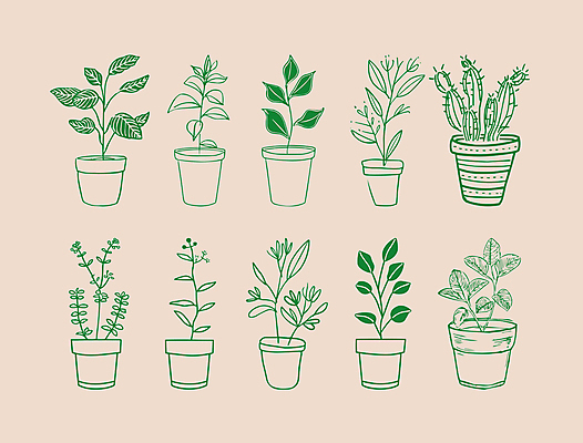 식물 화분 일러스트 사람없음 초록색 심플 드로잉 국내일러스트 AI파일 컬러 미술 파일형식 벡터